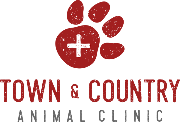 Veterinarian in Granbury, TX | Town & Country Animal Clinic